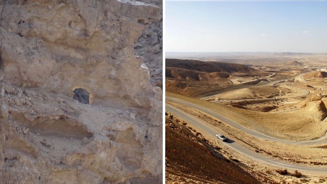 הסנה הבוער (צילום: גילי הרטוב, ויקיפדיה)