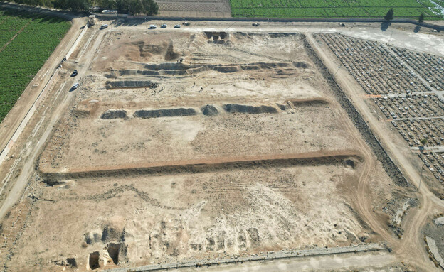 קבר אחים שהתגלה בנג'חה ליד דמשק (צילום: רויטרס)