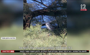 20nitzanidf_vtr2_n20241219_v1 (צילום: חדשות)