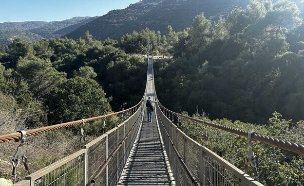 גשר פארק נשר (צילום: מירב טלמור-קשי)