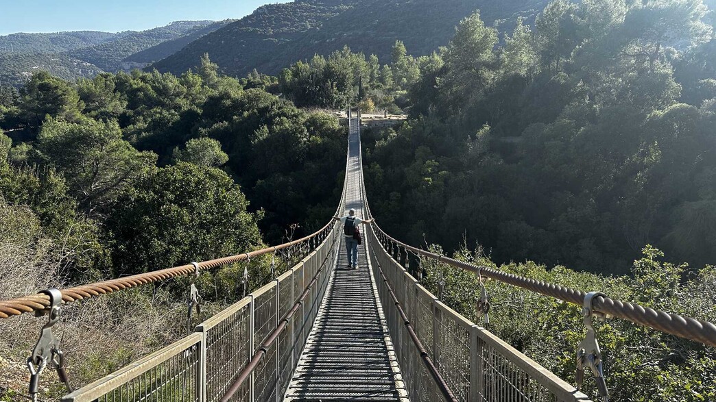 גשר פארק נשר (צילום: מירב טלמור-קשי)