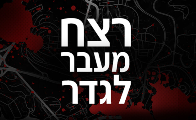 רצח מעבר לגדר (צילום: N12)