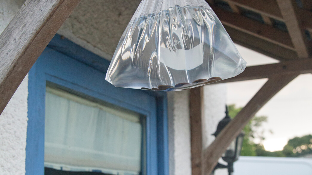 שקית עם מים ומטבעות להרחקת זבובים שקית עם מים ומטבעות להרחקת זבובים