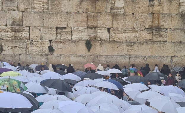 תפילה למען הסכם להשבת כל החטופים והחטופות בכותל  (צילום: שירה שיננזון, משמרת 101)