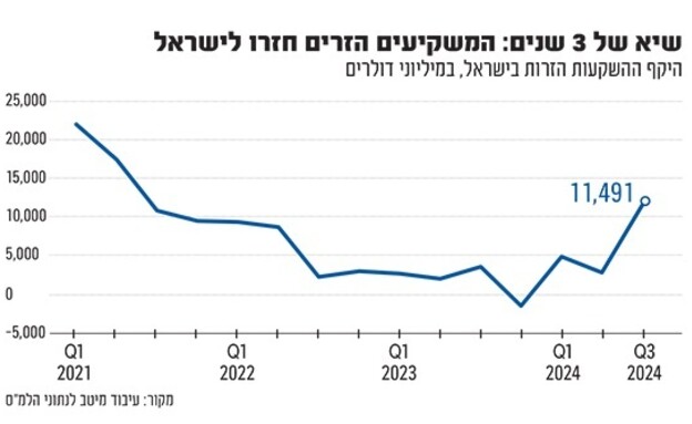 השקעות זרות (אינפוגרפיקה: גלובס)