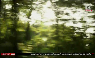 20palestine_vtr2_n20241224_v1 (צילום: חדשות)