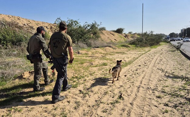 סיור חיפוש אחר הנעדר דוד קילברג במרחב העיר אשדוד (צילום: יחידת הכלבנים לישראל)