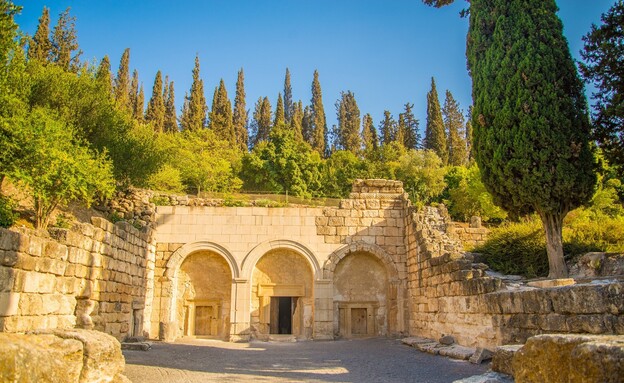 בית שערים (צילום: מנו גרינשפן)