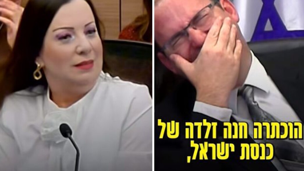 הסרטון הוויראלי של ח"כ טלי גוטליב (צילום: צילום מסך מתוך חשבון הטיקטוק של ערוץ הכנסת)