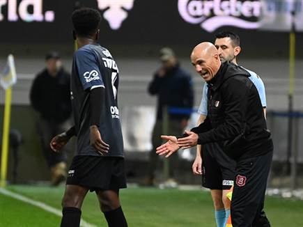 (ברני ארדוב)