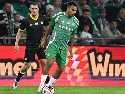 (צילום: ברני ארדוב) (צילום: ברני ארדוב)