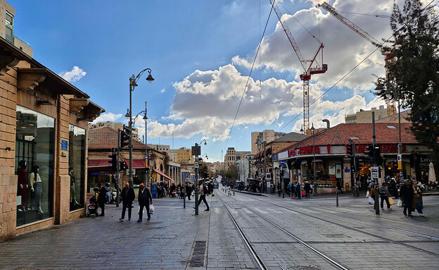 פרימה ורה (צילום: שי לוי)