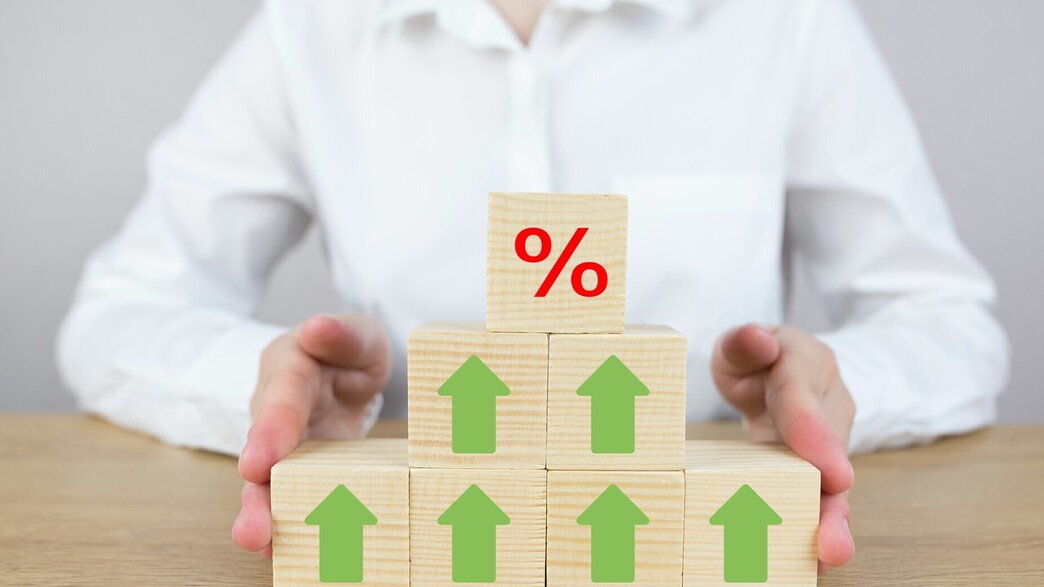 צמיחה כלכלית 