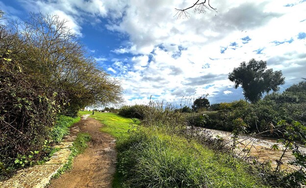 נחל חביבה (צילום: מירב טלמור-קשי)