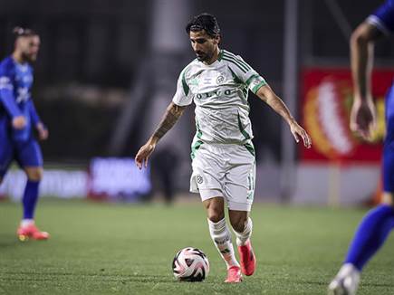 (מאור אלקסלסי) (מאור אלקסלסי)