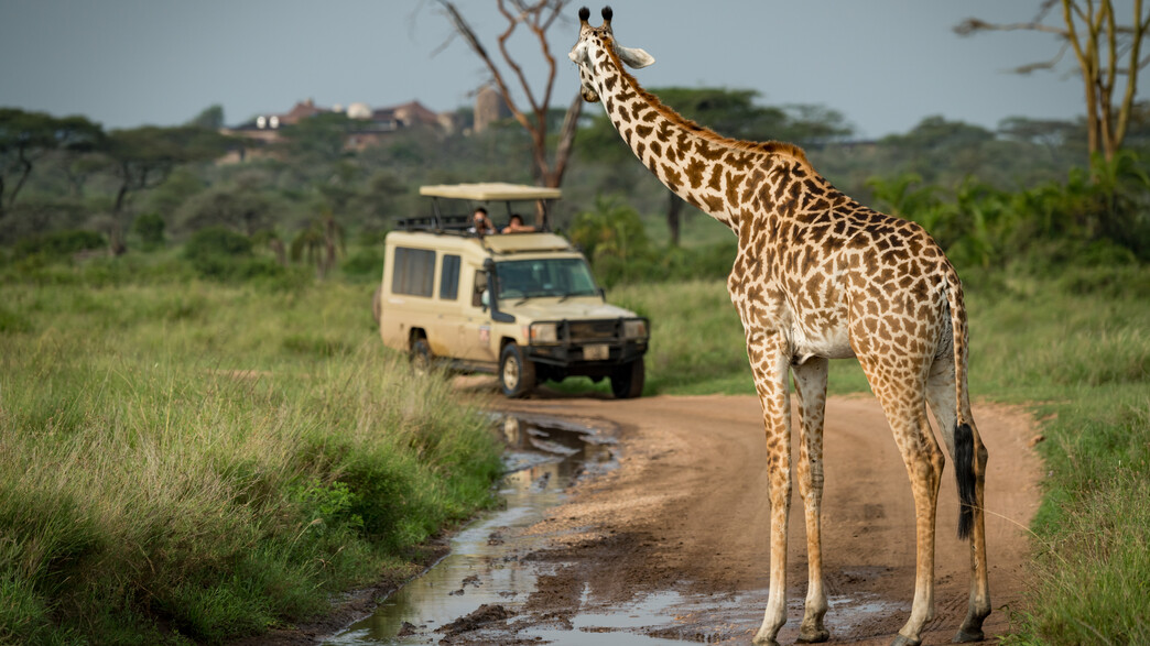 טיול ג'יפים בטנזניה