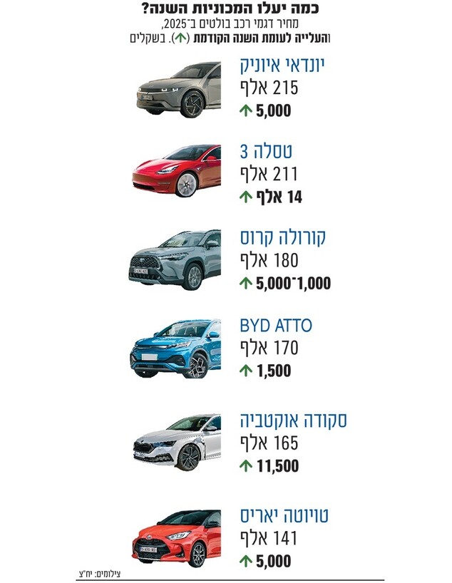 מחירי מכוניות (צילום: גלובס)