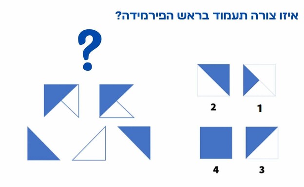 חידת הפירמידה (איור: הפרופסור הלא המפוזר)