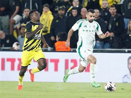 (צילום: אלן שיבר) (צילום: אלן שיבר)