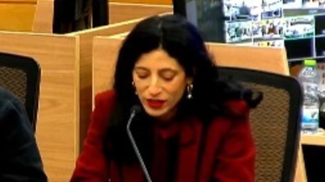 אפרת גוש בכנסת