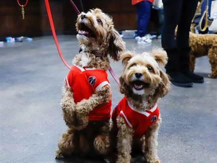 sportFive1494167 sportFive1494167