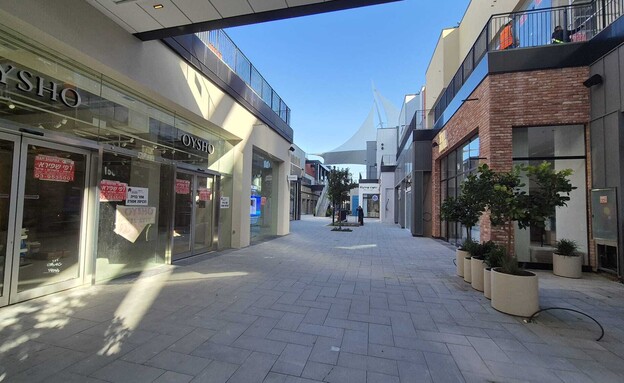 ביג פאשן גלילות - אוישו