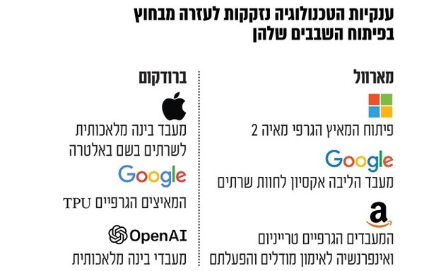 אינפו גלובס שבבים (אינפוגרפיקה: גלובס)