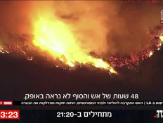 20fires_vtr2_n20250109_v1 (צילום: חדשות)