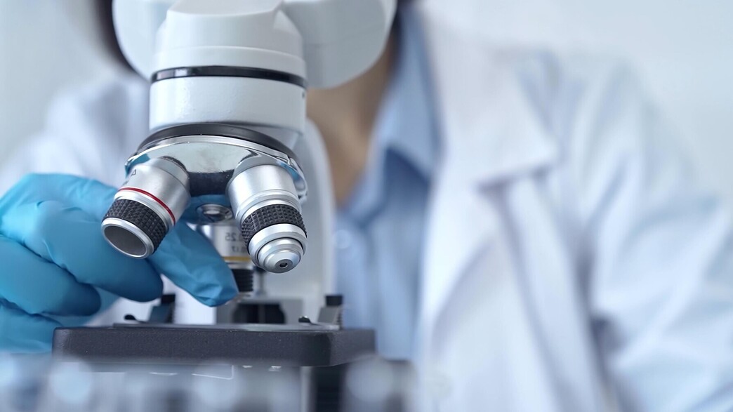 מעבדה מעבדה