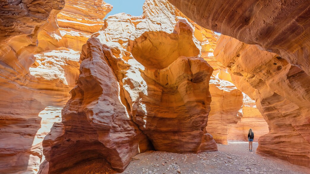 הקניון האדום אילת (צילום: Nick Brundle Photography, shutterstock)