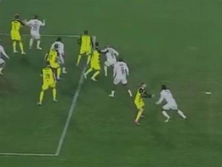 אצילי שומר על סמביניה