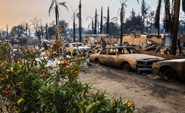 שריפות בשכונת אלטדנה בקליפורניה (צילום: getty images)