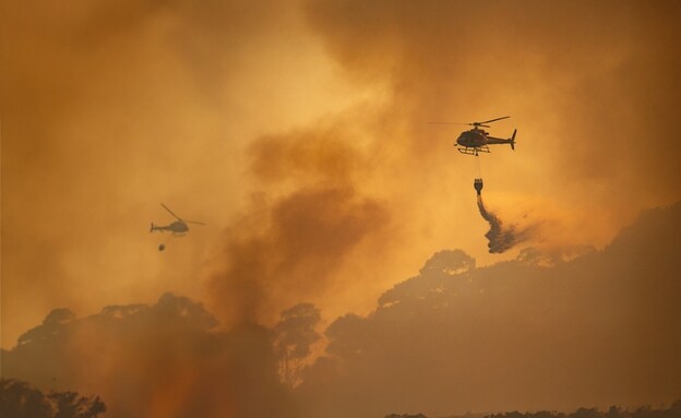 שריפות בקליפורניה (צילום: Toa55, shutterstock)