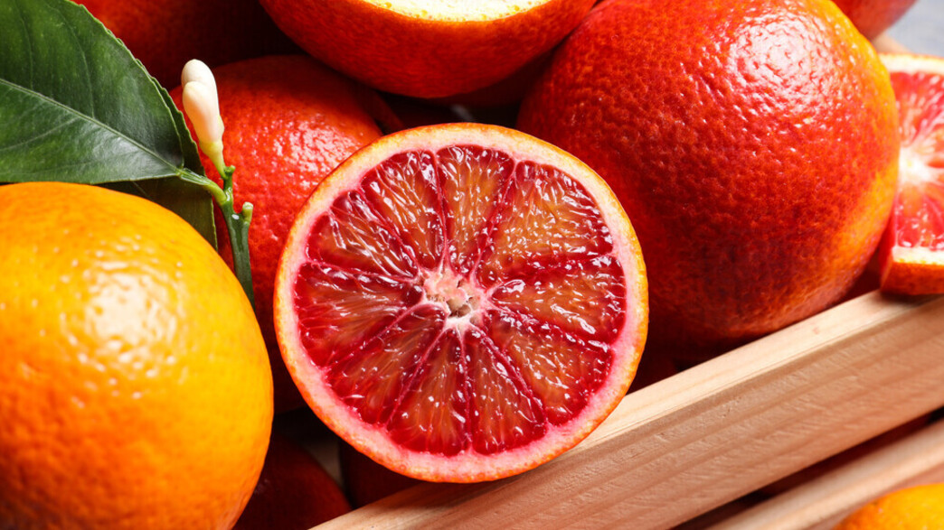 תפוזי דם תפוזי דם