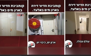 דירה בארון מים (צילום: צילום מסך מתוך אינסטגרם הפרגוד)