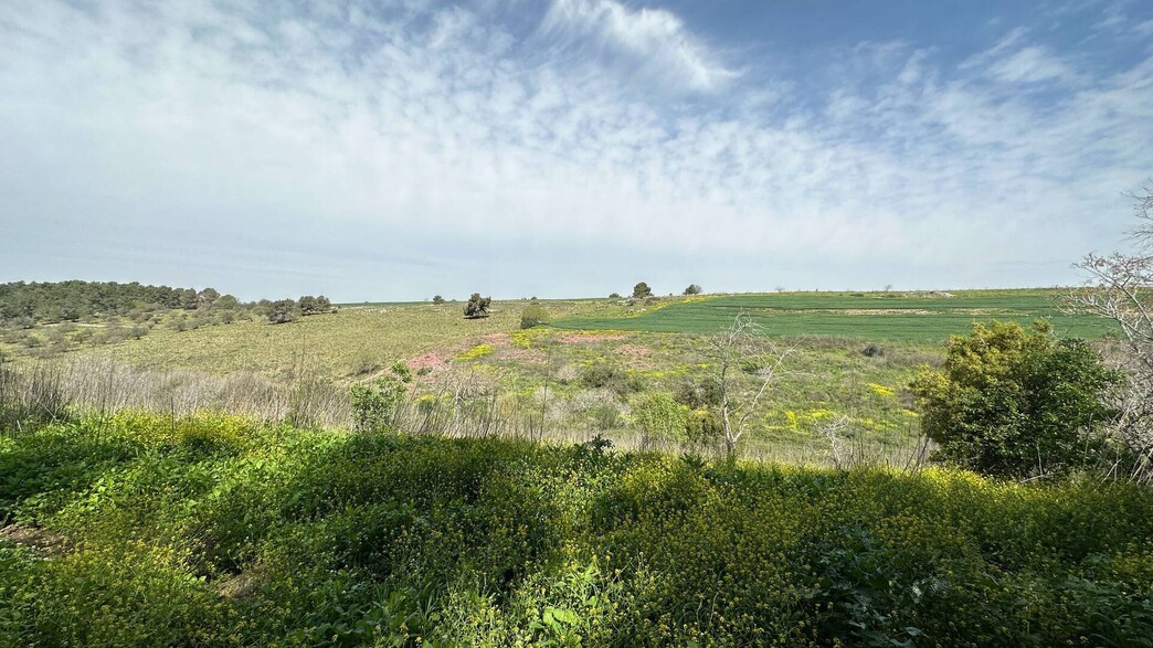 נוף קיבוץ דליה