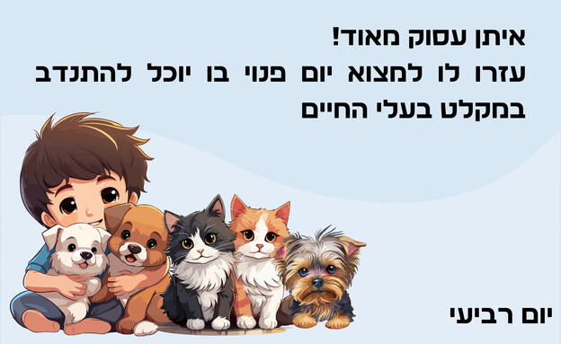 חידת היום הפנוי - תשובה (איור: הפרופסור הלא המפוזר)