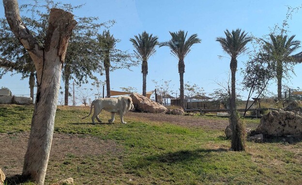 חוות נאות (צילום: אילן ארנון)