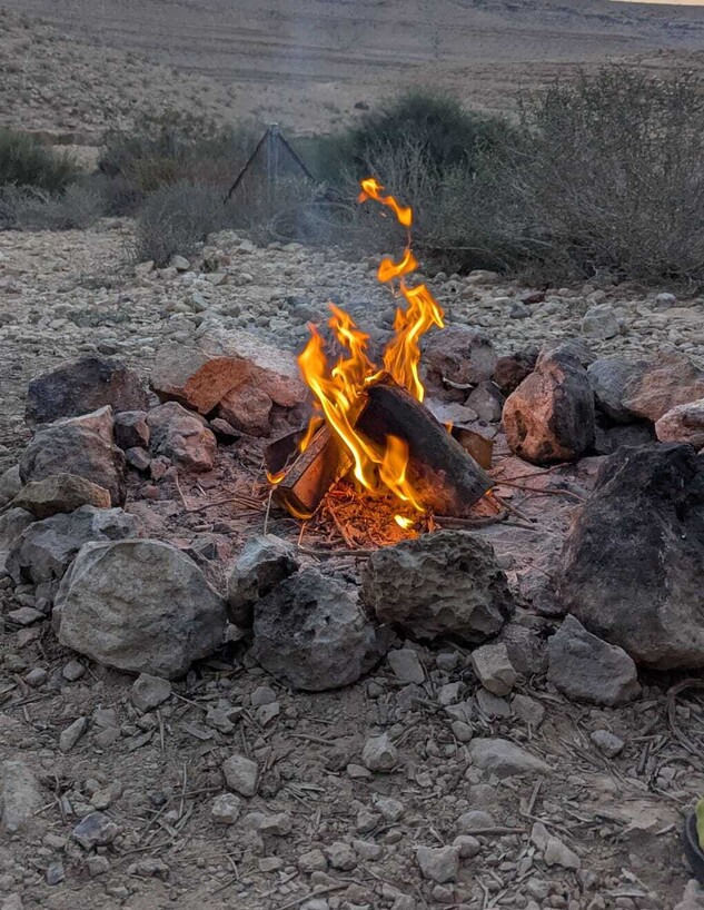 חוות נאות (צילום: אילן ארנון)