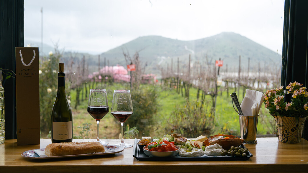 יקב תל שיפון יקב תל שיפון