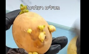 פוסט תפוחי אדמה רעילים (צילום: פייסבוק)