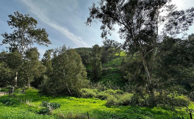 גבעה נחל חרוד מסלול (צילום: מירב טלמור-קשי)