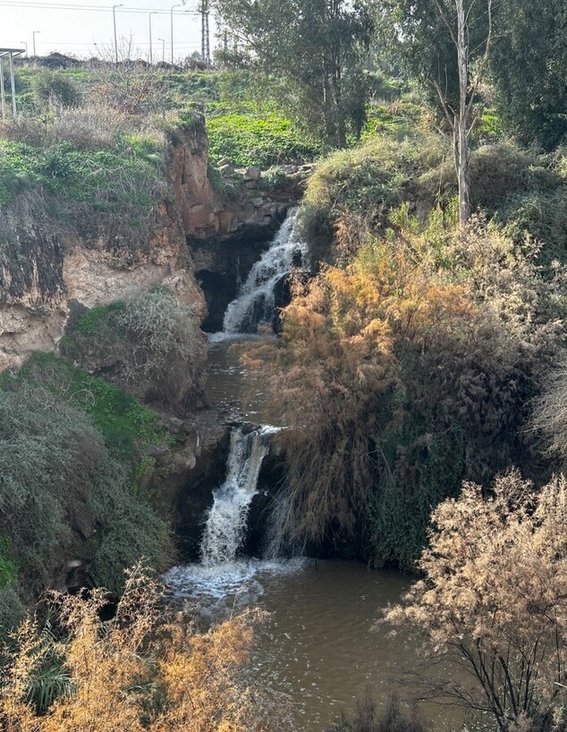 מפל נחל חרוד מסלול (צילום: מירב טלמור-קשי)