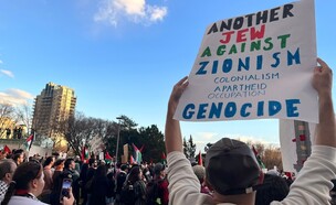 הפגנות שואה  (צילום: shutterstock)