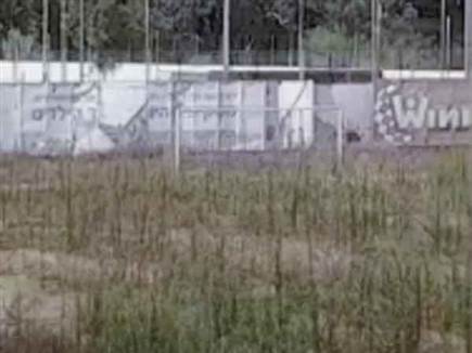 כך נראה אצטדיון וינטר (צילום: דודי לוי)