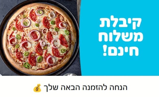 הודעה שקיבלו משתמשי בוולט ביום חמישי (צילום: צילום מסך)