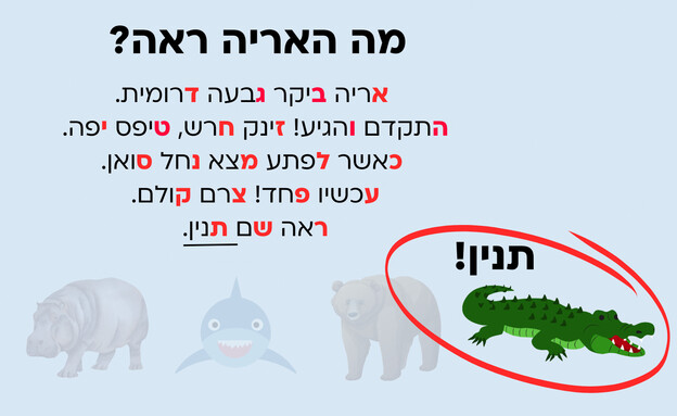  חידת האריה - תשובה (איור: הפרופסור הלא המפוזר)