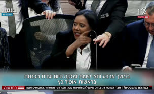 20knesset_vtr2_n20250128_v1 (צילום: חדשות)