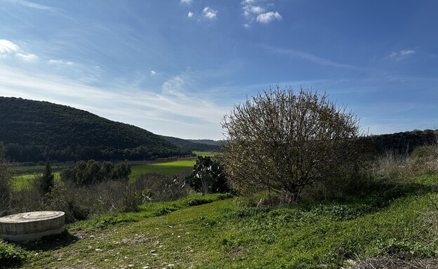 בת שלמה נופים מסביב  (צילום: מירב טלמור-קשי)