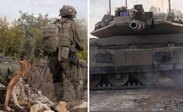 הכוחות מעבר לגבול